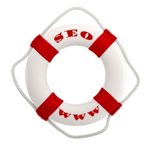 surviving seo initial stages